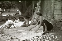 藏品(1950至2006年臺灣常民生活)的圖片