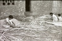 藏品(1950至2006年臺灣常民生活)的圖片