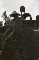 藏品(1950至2006年臺灣常民生活)的圖片