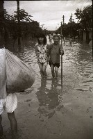 藏品(1950至2006年臺灣常民生活)的圖片