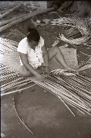 藏品(1950至2006年臺灣常民生活)的圖片