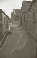 藏品(1950至2006年臺灣常民生活)的圖片