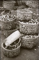 藏品(1950至2006年臺灣常民生活)的圖片