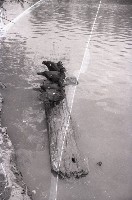 藏品(1950至2006年臺灣常民生活)的圖片