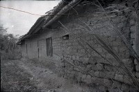 藏品(1950至2006年臺灣常民生活)的圖片