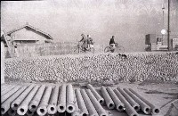 藏品(1950至2006年臺灣常民生活)的圖片