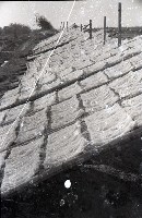 藏品(1950至2006年臺灣常民生活)的圖片