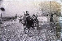 藏品(1950至2006年臺灣常民生活)的圖片