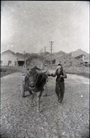 藏品(1950至2006年臺灣常民生活)的圖片