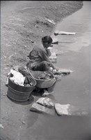 藏品(1950至2006年臺灣常民生活)的圖片