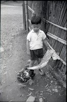 藏品(1950至2006年臺灣常民生活)的圖片