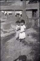 藏品(1950至2006年臺灣常民生活)的圖片