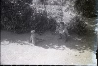 藏品(1950至2006年臺灣常民生活)的圖片