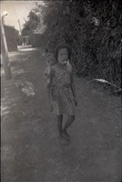 藏品(1950至2006年臺灣常民生活)的圖片
