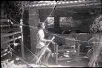 藏品(1950至2006年臺灣常民生活)的圖片