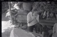 藏品(1950至2006年臺灣常民生活)的圖片