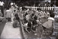 藏品(1950至2006年臺灣常民生活)的圖片