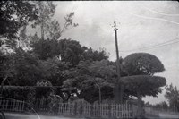 藏品(1950至2006年臺灣常民生活)的圖片