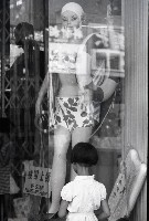 藏品(1950至2006年臺灣常民生活)的圖片