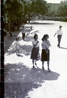 藏品(1950至2006年臺灣常民生活)的圖片