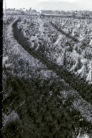 藏品(1950至2006年臺灣常民生活)的圖片