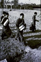 藏品(1950至2006年臺灣常民生活)的圖片