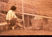 藏品(1950至2006年臺灣常民生活)的圖片