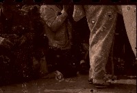 藏品(1950至2006年臺灣常民生活)的圖片