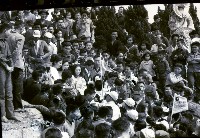 藏品(1950至2006年臺灣常民生活)的圖片