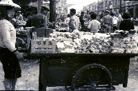 藏品(1950至2006年臺灣常民生活)的圖片