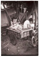 藏品(《三輪車上的閱讀》（1950至2006年臺灣常民生活）)的圖片