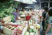 藏品(龍山寺普渡（1950至2006年臺灣常民生活）)的圖片