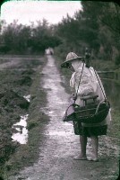 藏品(〈野ら師り〉農事達人（1950至2006年臺灣常民生活）)的圖片