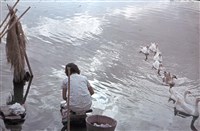 藏品(〈朝はふたたび〉河邊洗衣的婦女（1950至2006年臺灣常民生活）)的圖片