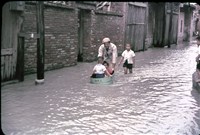 藏品(〈親馬鹿〉溺愛孩子（1950至2006年臺灣常民生活）)的圖片