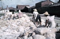 藏品(〈澱粉工廠〉（1950至2006年臺灣常民生活）)的圖片