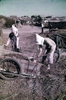 藏品(〈女工〉（1950至2006年臺灣常民生活）)的圖片