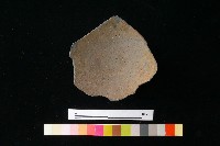 藏品(陶片)的圖片