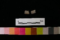 藏品(陶環)的圖片