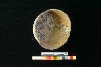 藏品(陶缽)的圖片