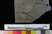 藏品(陶缽)的圖片