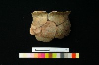 藏品(陶罐)的圖片