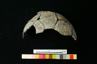 藏品(陶罐)的圖片