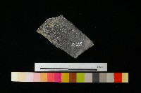 藏品(陶罐)的圖片