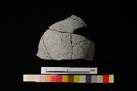 藏品(陶片)的圖片