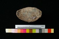 藏品(陶蓋)的圖片