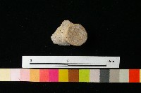 藏品(陶蓋)的圖片