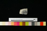 藏品(陶蓋)的圖片