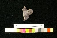 藏品(陶鈕)的圖片