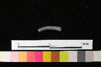 藏品(陶環)的圖片